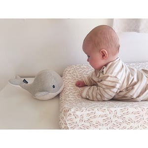 baleine bruit blanc bébé