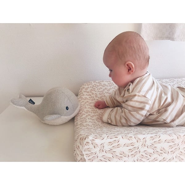 baleine bruit blanc bébé